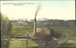 Beet Sugar Factory Postcard