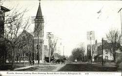 Sacred Heart Church, Fayette Avenue Effingham, IL Postcard Postcard