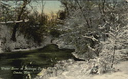 Winter Scene In Hanscom Park Postcard