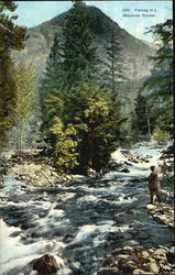 Fishing In A Mountain Stream Scenic, WA Postcard Postcard