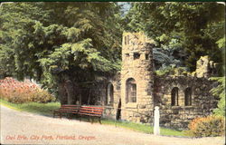 Owl Eric, City Park Postcard