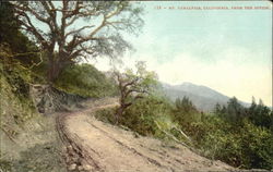 Mt. Tamalpais Postcard