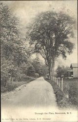 Through The Flats Postcard