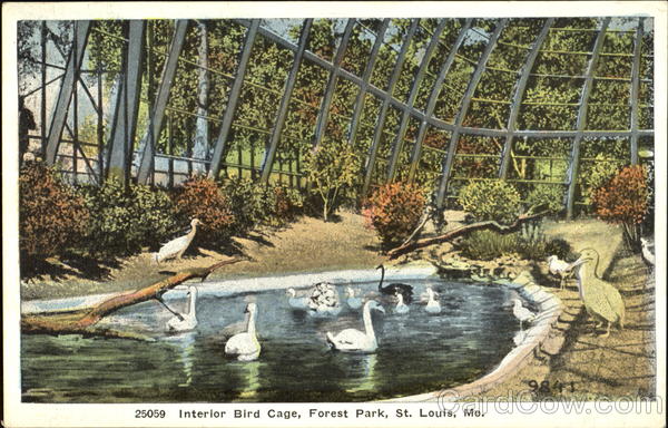 Interior Bird Cage, Forest Park St. Louis Missouri