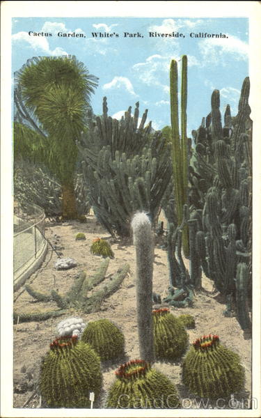 Cactus Garden, White Park Riverside California