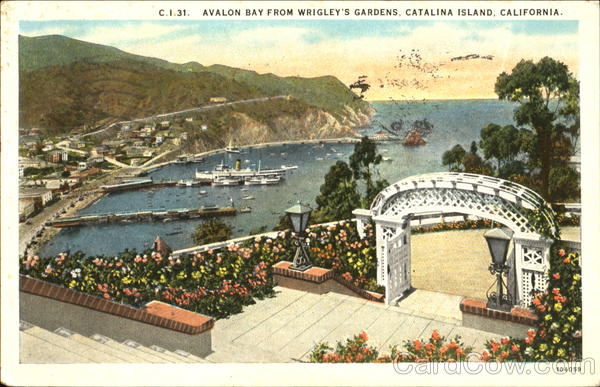 Avalon Bay From Wrigley's Gardens Santa Catalina Island California