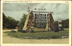 Ornamental Entrance, Polar Caves Postcard