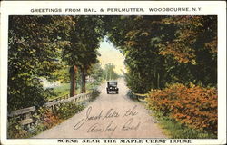 Greetings From Bail & Perlmutter Postcard