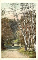 Black Birches Zoo Park Postcard