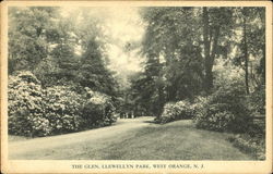 The Glen Llewellyn Park Postcard