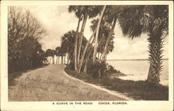 A Curve In The Road Cocoa, FL Postcard Postcard