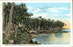 Along The Shore Of Indian River Rockledge, FL Postcard Postcard