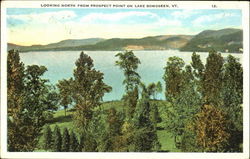 Looking North From Prospect Point On Lake Bomoseen Scenic, VT Postcard Postcard