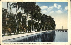 Along The Lake Shore Postcard