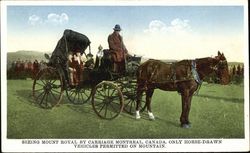 Seeing Mount Royal By Carriage Postcard