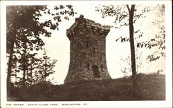 The Tower, Ethan Allen Park Postcard