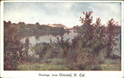 Greetings From Oriental Postcard