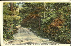 Roadway Approaching Robert E. Lee Hall Blue Ridge, NC Postcard Postcard