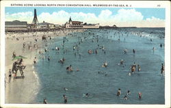 Bathing Scene Wildwood, NJ Postcard 
