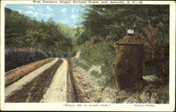 West Entrance, Pisgah National Forest Postcard