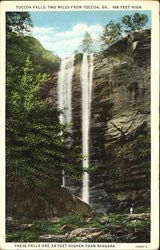 Toccoa Falls Georgia Postcard 