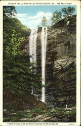 Toccoa Falls Georgia Postcard Postcard