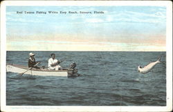 Real Tarpon Fishing Within Easy Reach Sarasota, FL Postcard Postcard