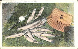 A Morning's Catch Fishing Postcard Postcard