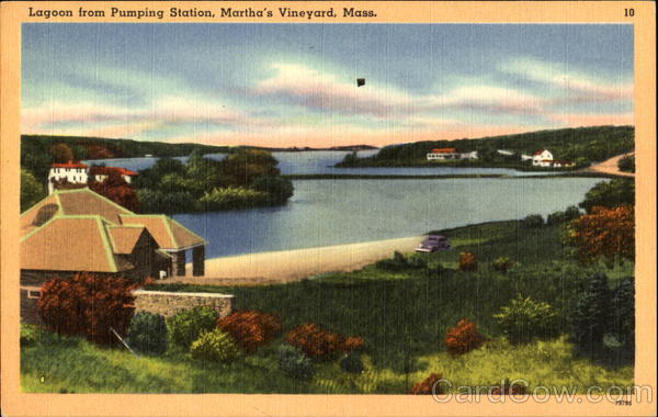 Lagoon From Pumping Station Martha's Vineyard Massachusetts
