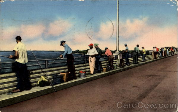 Fishing From The Bridges Popular Pastime Miami Florida