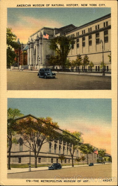 American Museum Of Natural History And The Metropolitan Museum Of Art New York City