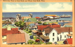 Bird's-Eye View Of Oak Bluffs And Wharf Massachusetts Postcard Postcard