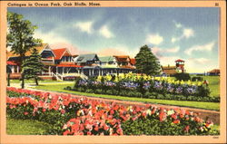 Cottages In Ocean Park Postcard