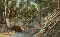 Stock #104772 Thumbnail