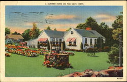 A Summer Home On The Cape Postcard