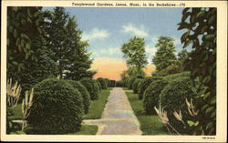 Tanglewood Gardens, Berkshires Postcard