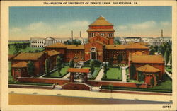 Museum Of The University Of Pennsylvania Postcard
