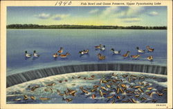 Fish Bowl And Game Preserve Postcard