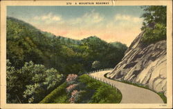 A Mountain Roadway Postcard