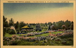 Perennial And Tropical Gardens Atlanta, GA Postcard Postcard