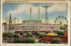 Steeplechase Park Postcard