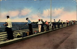 Fishing From The Bridges Popular Pastime Postcard