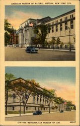 American Museum Of Natural History And The Metropolitan Museum Of Art Postcard