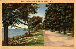 Greetings From Mamaroneck Postcard