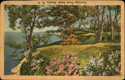 Greetings From South Daytona Postcard