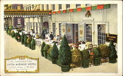The Fifth Avenue Hotel, 24 Fifth Avenue 9th Street Postcard