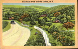 Greetings From Central Valley New York Postcard Postcard