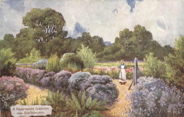 Tuck's Oilette A Hampshire Garden near Southbourne