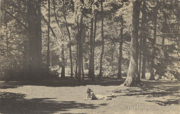 Tanglewood Lawn Lenox Massachusetts