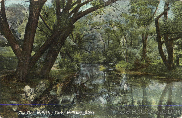 The Pool, Wellesley Park Massachusetts